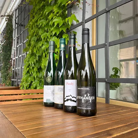 Svetobeznik Bed & Wine בית הארחה